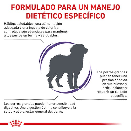 Royal Canin Veterinary Adult Large Dog Pienso para Perros - Imagen 3