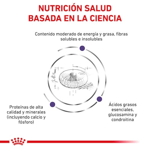 Royal Canin Veterinary Neutered Junior Large Dog 12kg - Imagen 5