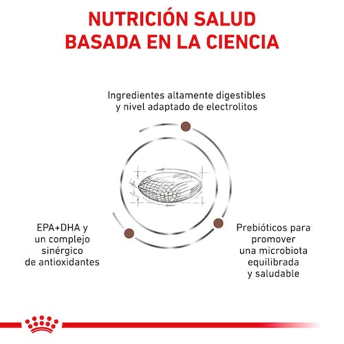 Royal Canin Veterinary Gastrointestinal Low Fat para Perros - Imagen 3