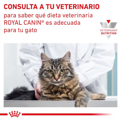 Royal Canin Veterinary Gastrointestinal Fibre Response para Gatos - Imagen 6