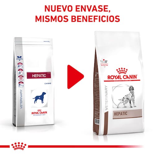 Royal Canin Veterinary Hepatic Pienso para Perros - Imagen 4