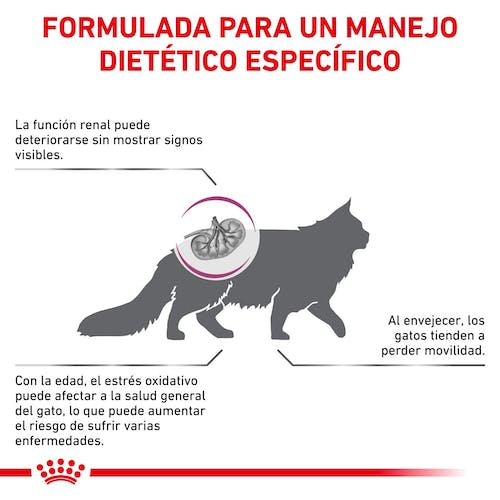 Royal Canin Veterinary Early Renal Pienso para Gatos - Imagen 2