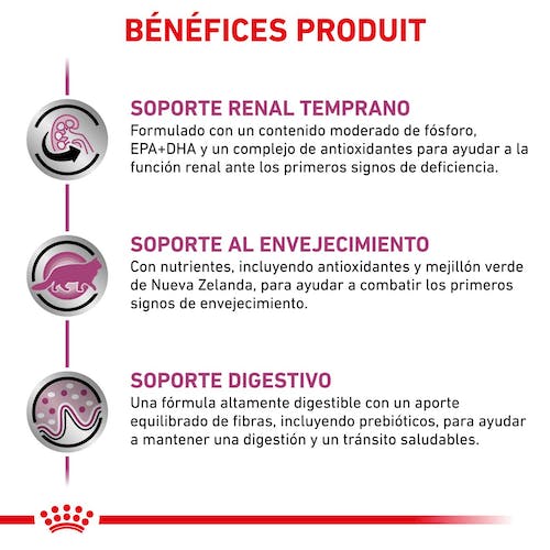 Royal Canin Veterinary Early Renal Pienso para Gatos - Imagen 3