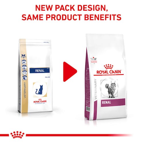 Royal Canin Veterinary Renal Dry Pienso para Gatos - Imagen 4