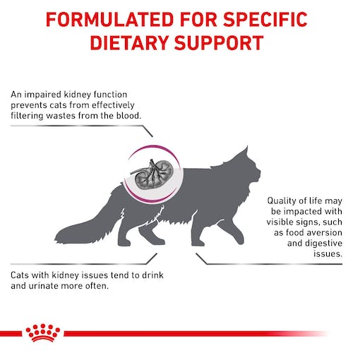 Royal Canin Veterinary Renal Dry Pienso para Gatos - Imagen 6