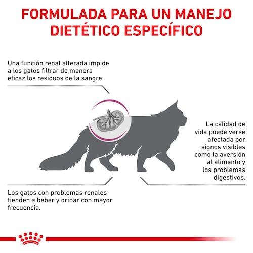 Royal Canin Veterinary Renal Special Pienso para Gatos - Imagen 4