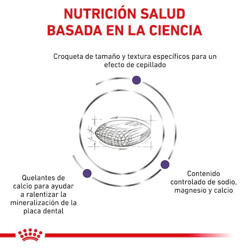 Royal Canin Veterinary Dental Small Dog - Imagen 3