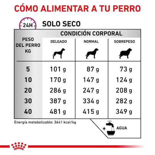 Royal Canin Veterinary Mobility Support Pienso para Perros - Imagen 3