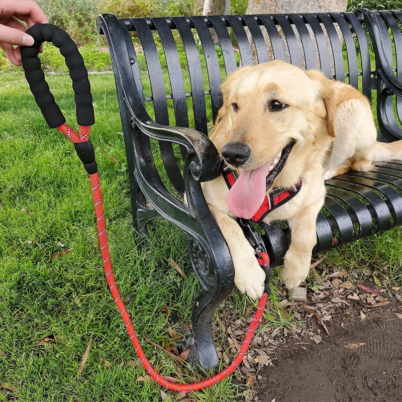 Correa para Perros Acolchada 150cm - Imagen 12