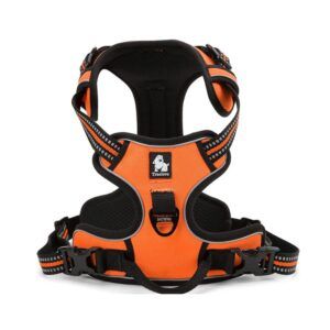 Arnés para perros Reflectante Truelove TLH5651