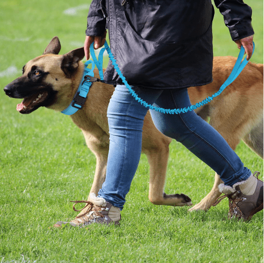 Correa Táctica Militar para Perros - Imagen 2