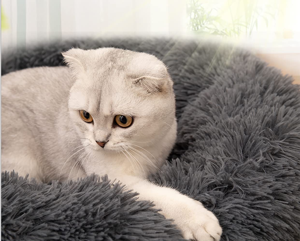 Cama Redonda Pequeña Gatos 4kg - Imagen 3