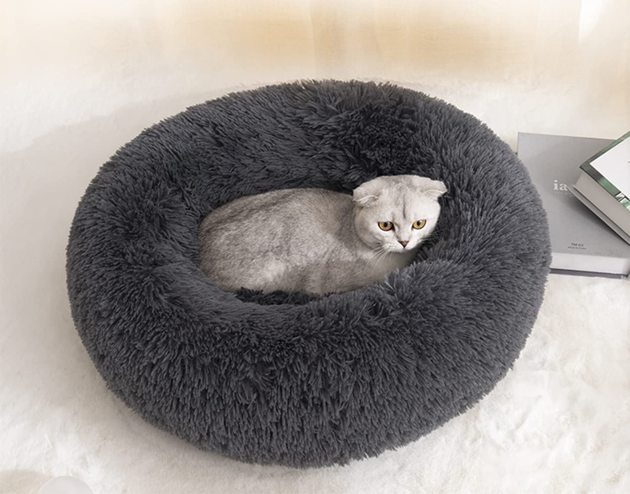 Cama Redonda Pequeña Gatos 4kg - Imagen 4