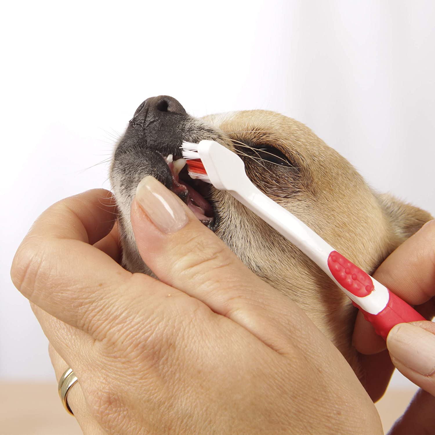 Beaphar Kit Dental para Perros - Imagen 3