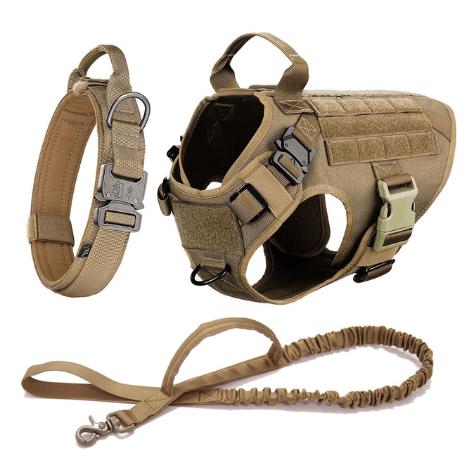 Arnés Táctico Militar para Perros - Imagen 3