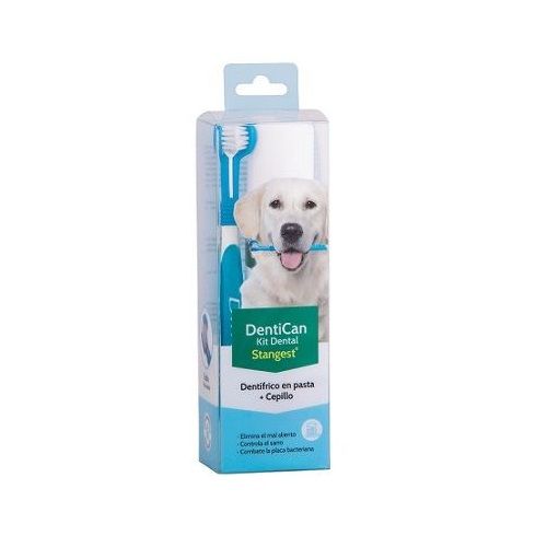 dentican pasta + cepillo