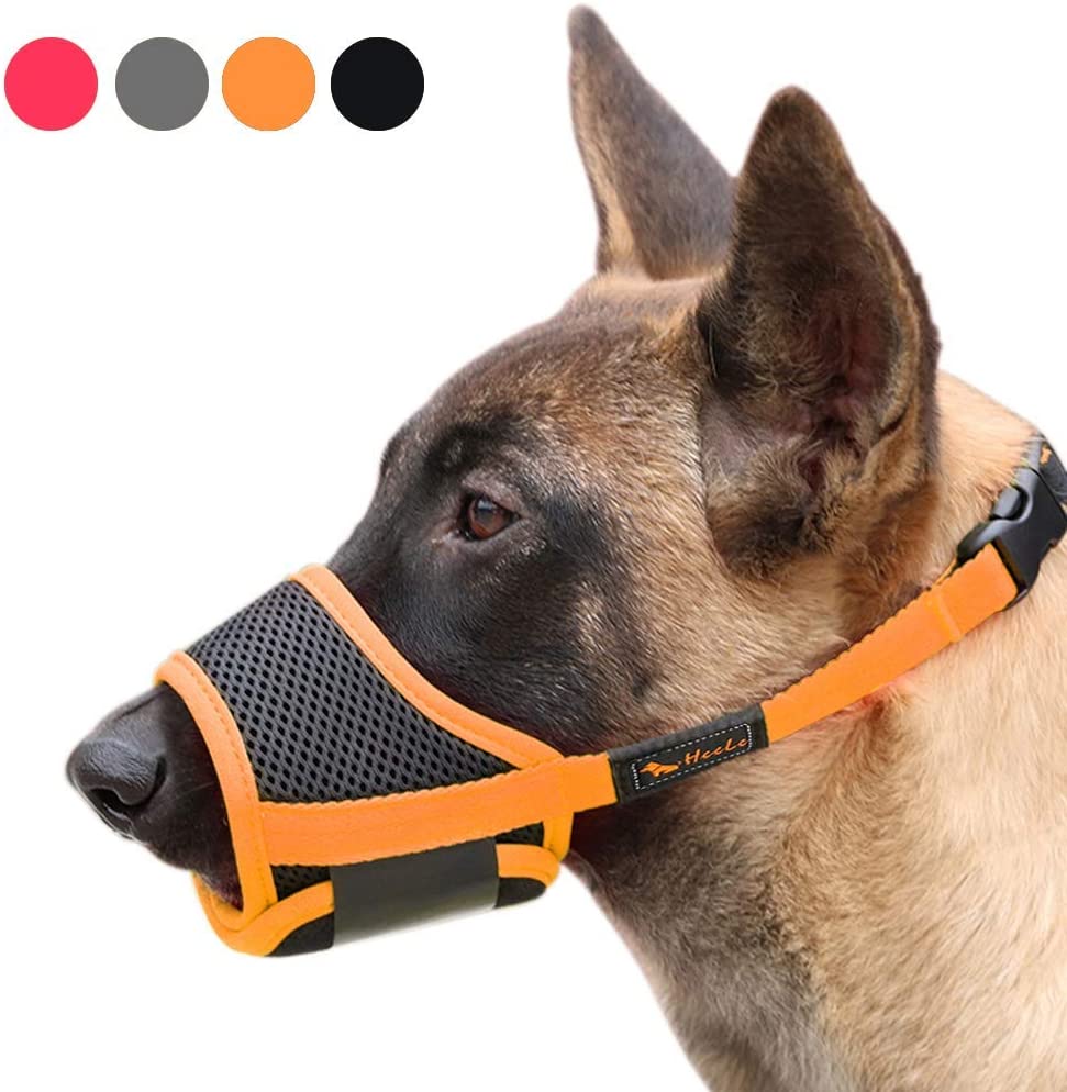 Bozal para Perros - Imagen 5