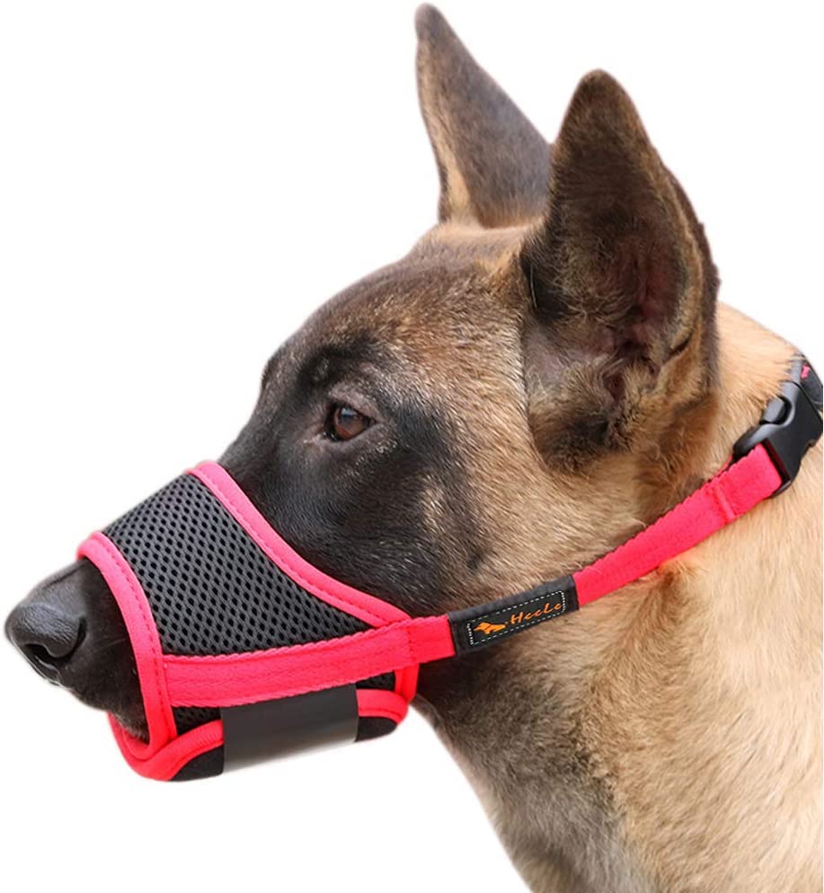 Bozal para Perros - Imagen 4