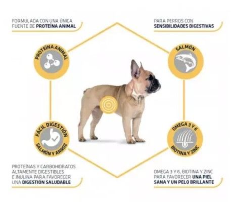 Advance Mini Sensitive con Salmón Pienso para Perros - Imagen 6