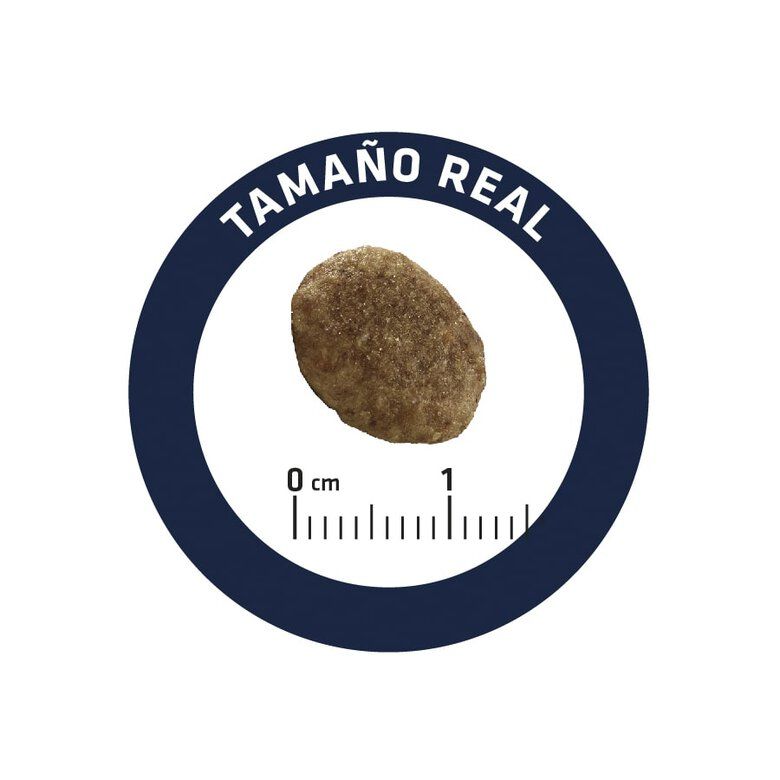 Advance Veterinary Diets Weight Balance para Gatos - Imagen 5