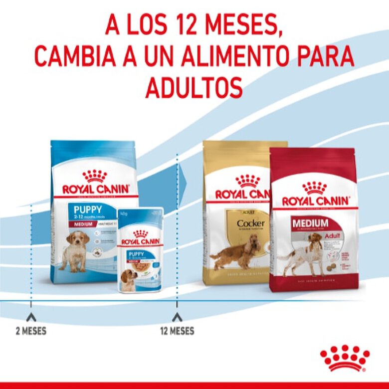 Royal Canin Puppy Medium Pienso para Cachorros - Imagen 4
