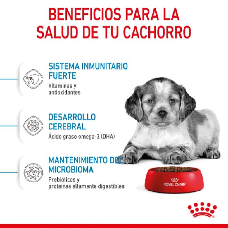 Royal Canin Puppy Medium Pienso para Cachorros - Imagen 3
