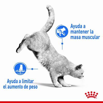 Royal Canin Light Weight Care Pienso para Gatos - Imagen 3