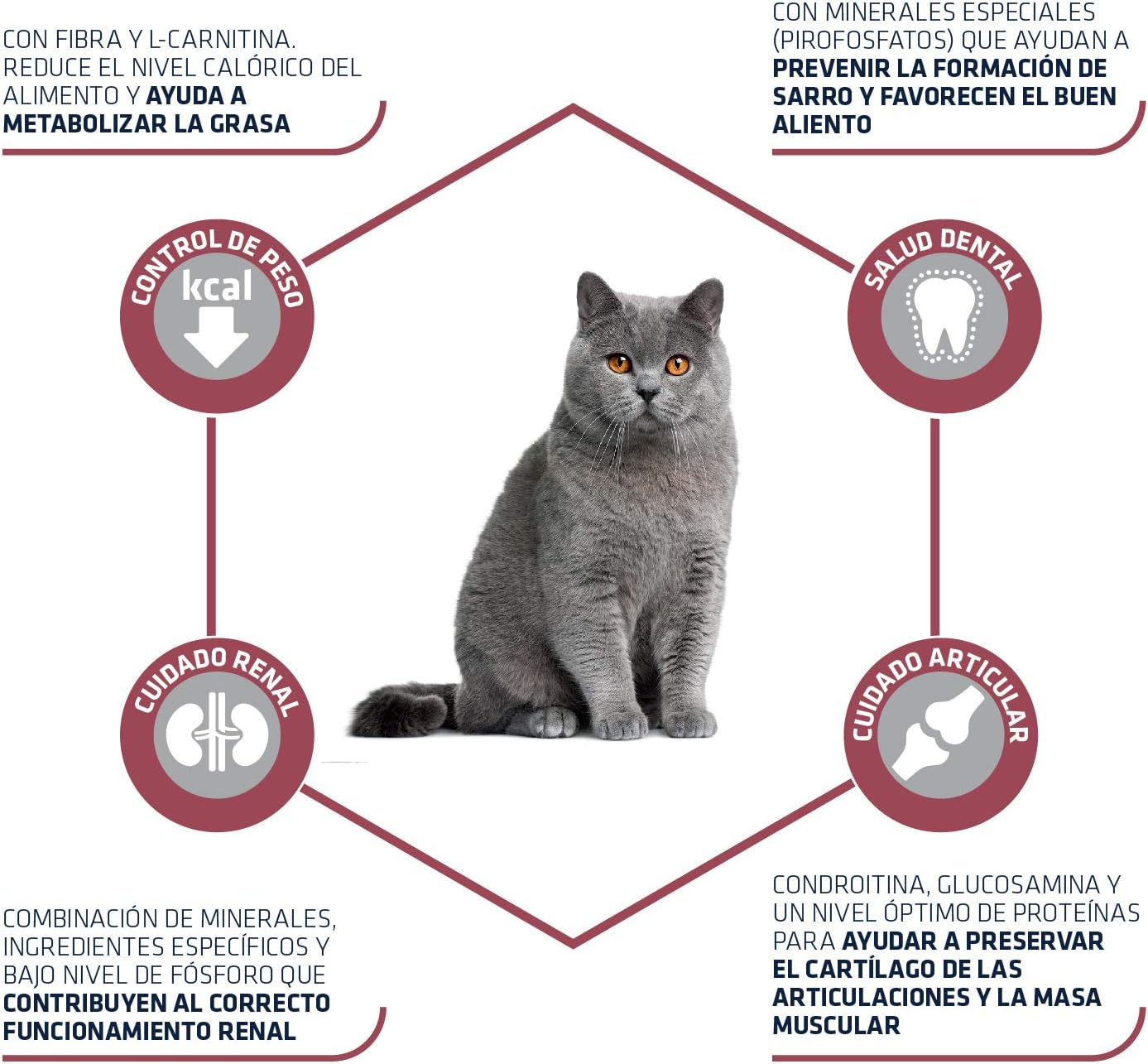 Advance Pienso para Gatos Esterilizados +10 Senior 1.5kg - Imagen 4