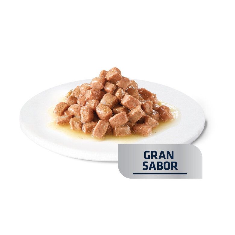 Advance Veterinary Diet Recovery Sobres para Perros y Gatos - Imagen 5