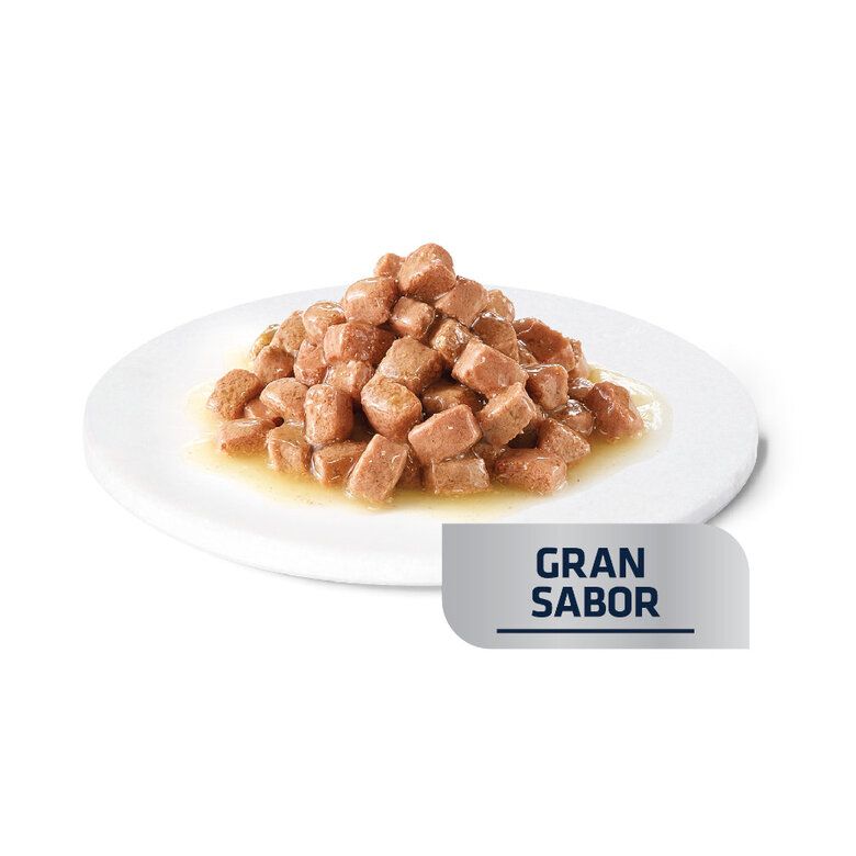 Advance Veterinary Diets Renal Sobre para Gatos 85gr - Imagen 3