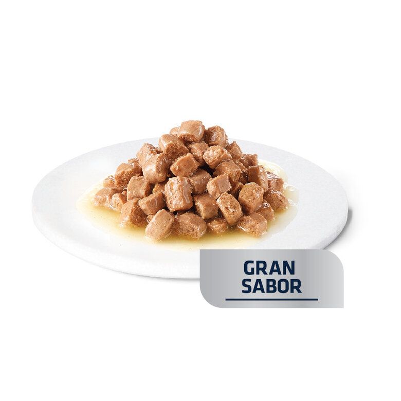 Advance Veterinary Diets Gastrointestinal Sobre para Gatos 85gr - Imagen 3