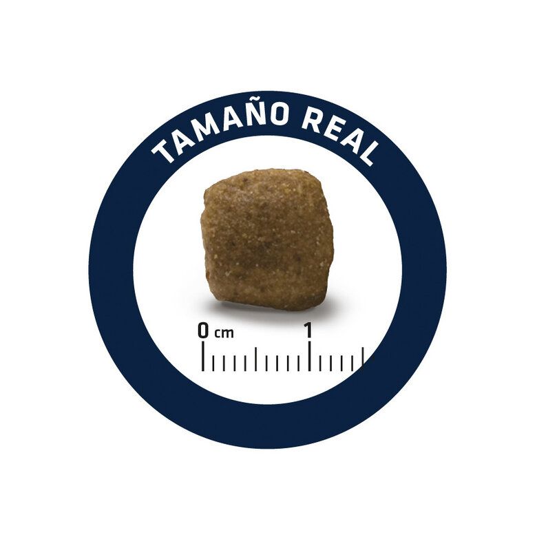 Advance Veterinary Diet Articular Reduced Calorie para Perros - Imagen 4