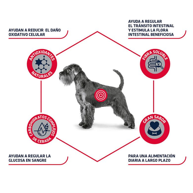 Advance Veterinary Diet Diabetes Colitis Pienso para Perros - Imagen 5