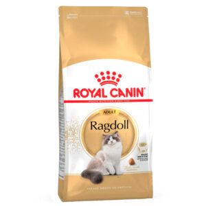 Royal Canin Adult Ragdoll Pienso para Gatos