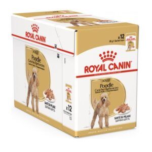 Royal Canin Adult Poodle Sobres de Comida Húmeda 12x85gr