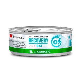 Disugual Diet Cat Recovery Conejo