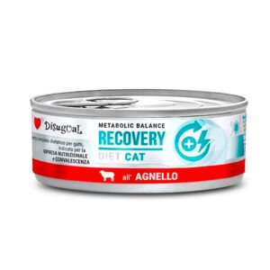 Disugual Diet Cat Recovery Cordero
