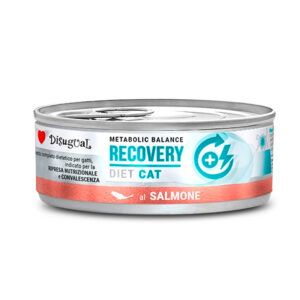 Disugual Diet Cat Recovery Salmón