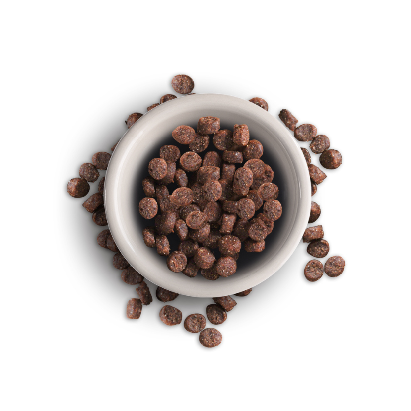 Leonardo Adulto Grain Free Salmón Pienso para Gatos - Imagen 2
