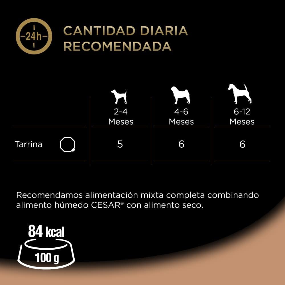 Cesar Junior Comida húmeda para Perros sabor Pavo y Ternera - Imagen 5