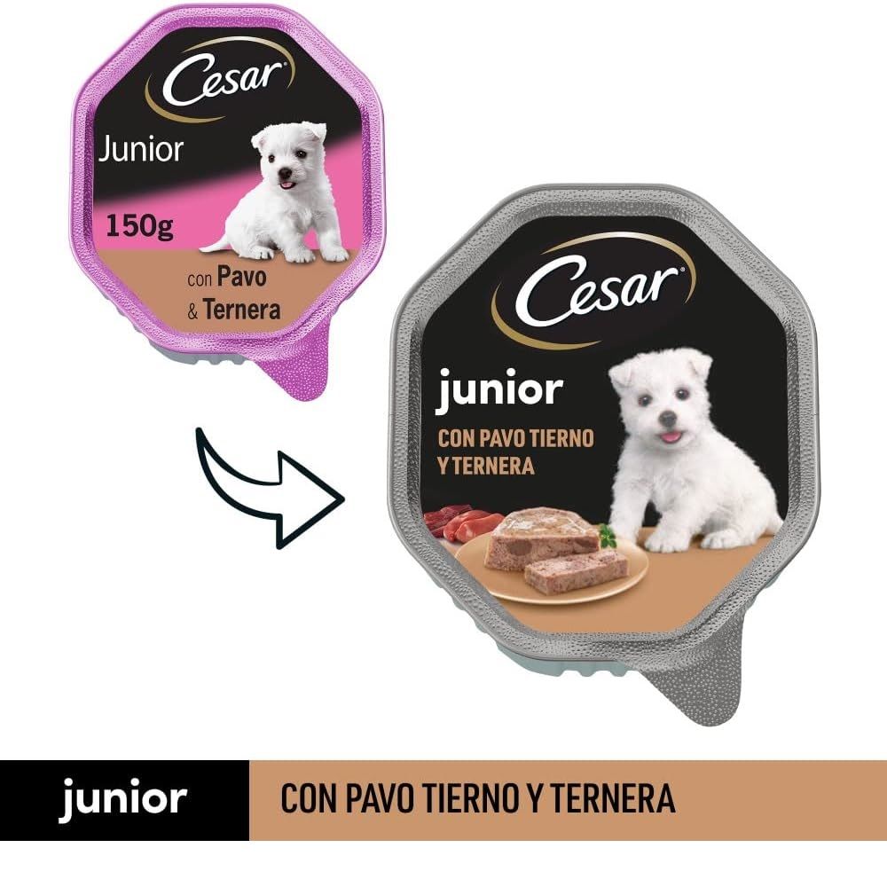 Cesar Junior Comida húmeda para Perros sabor Pavo y Ternera - Imagen 6