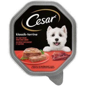 Cesar Clasicos Comida húmeda para Perros sabor Buey Tarrinas