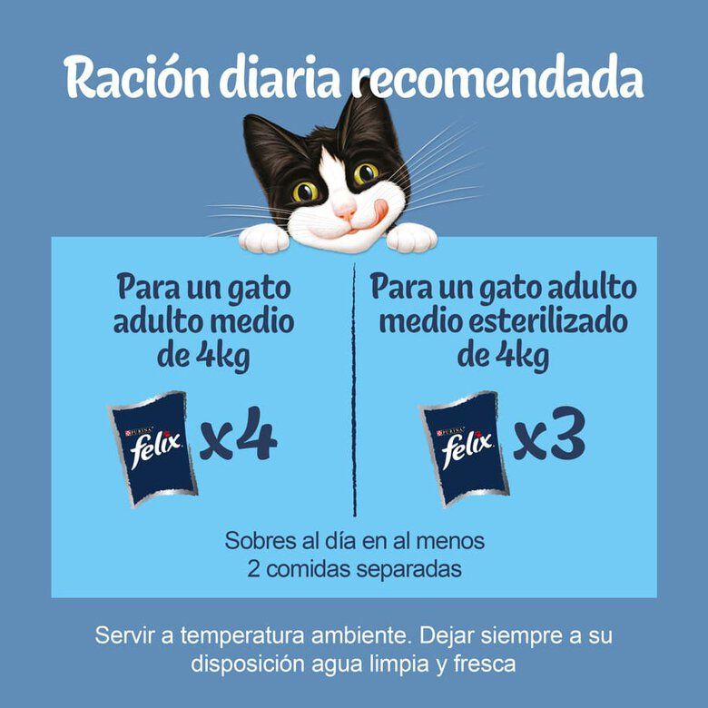 Felix Selección de Pescados Sobres en Gelatina Atún y Salmón - Imagen 5