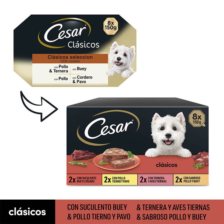 Cesar Recetas Clásicas Tarrinas en Salsa para Perros - Imagen 7
