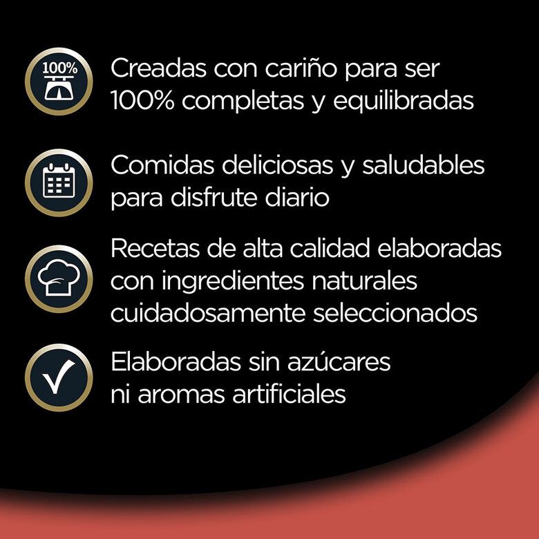 Cesar Recetas Clásicas Tarrinas en Salsa para Perros - Imagen 5