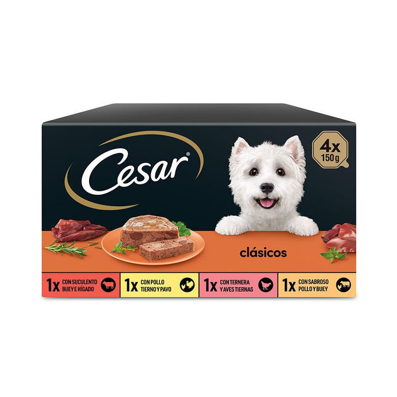 Cesar Recetas Clásicas Tarrinas en Salsa para Perros