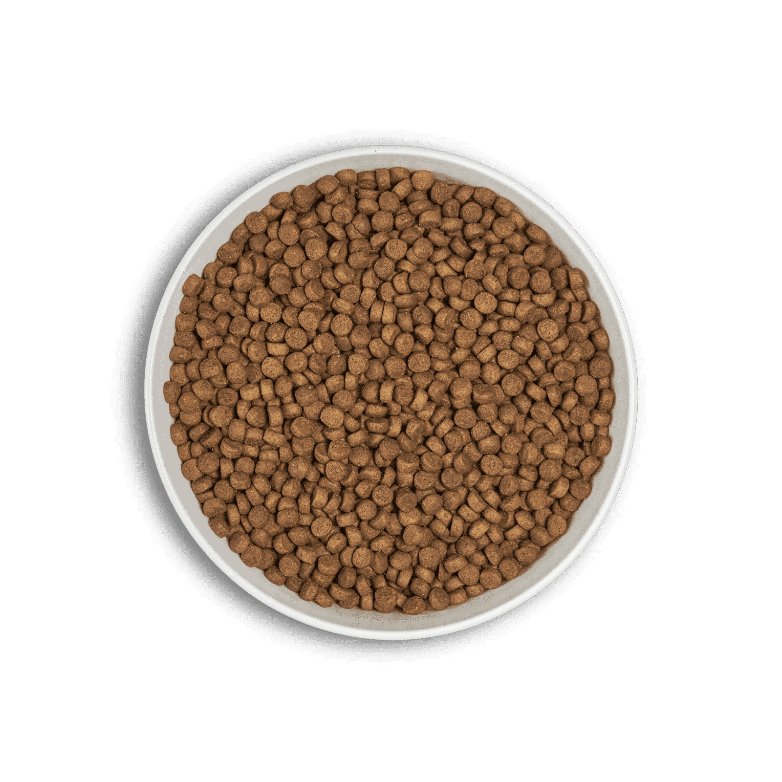 Era Adult Medium Large Pollo y Faisán Pienso para Perros - Imagen 2