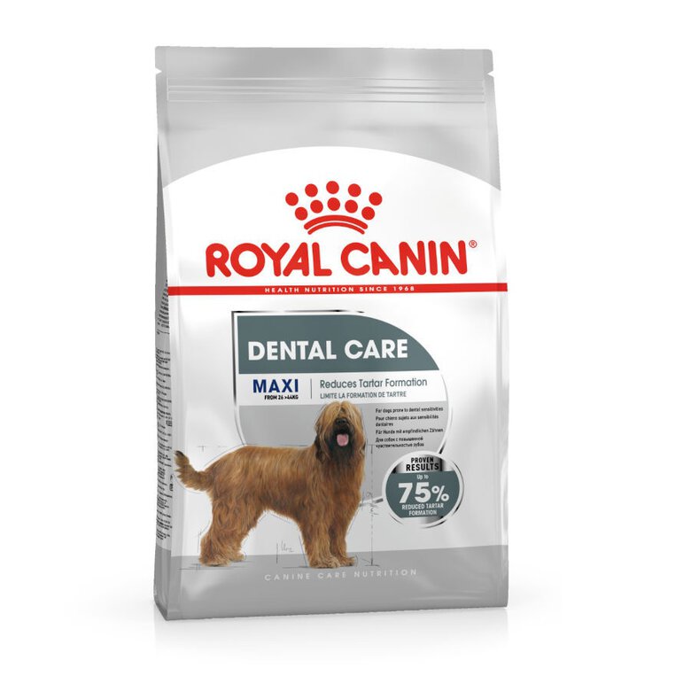 Royal Canin Dental Care Maxi Pienso para Perros 9kg