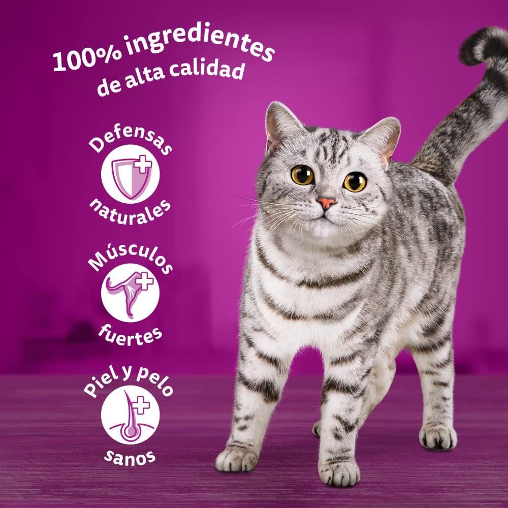 Whiskas Selección de Pescado en Gelatina Sobres para Gatos - Imagen 3