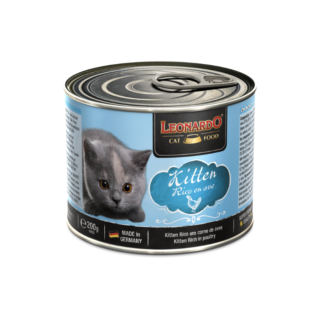Leonardo KITTEN Rico en Ave Latas para Gatos